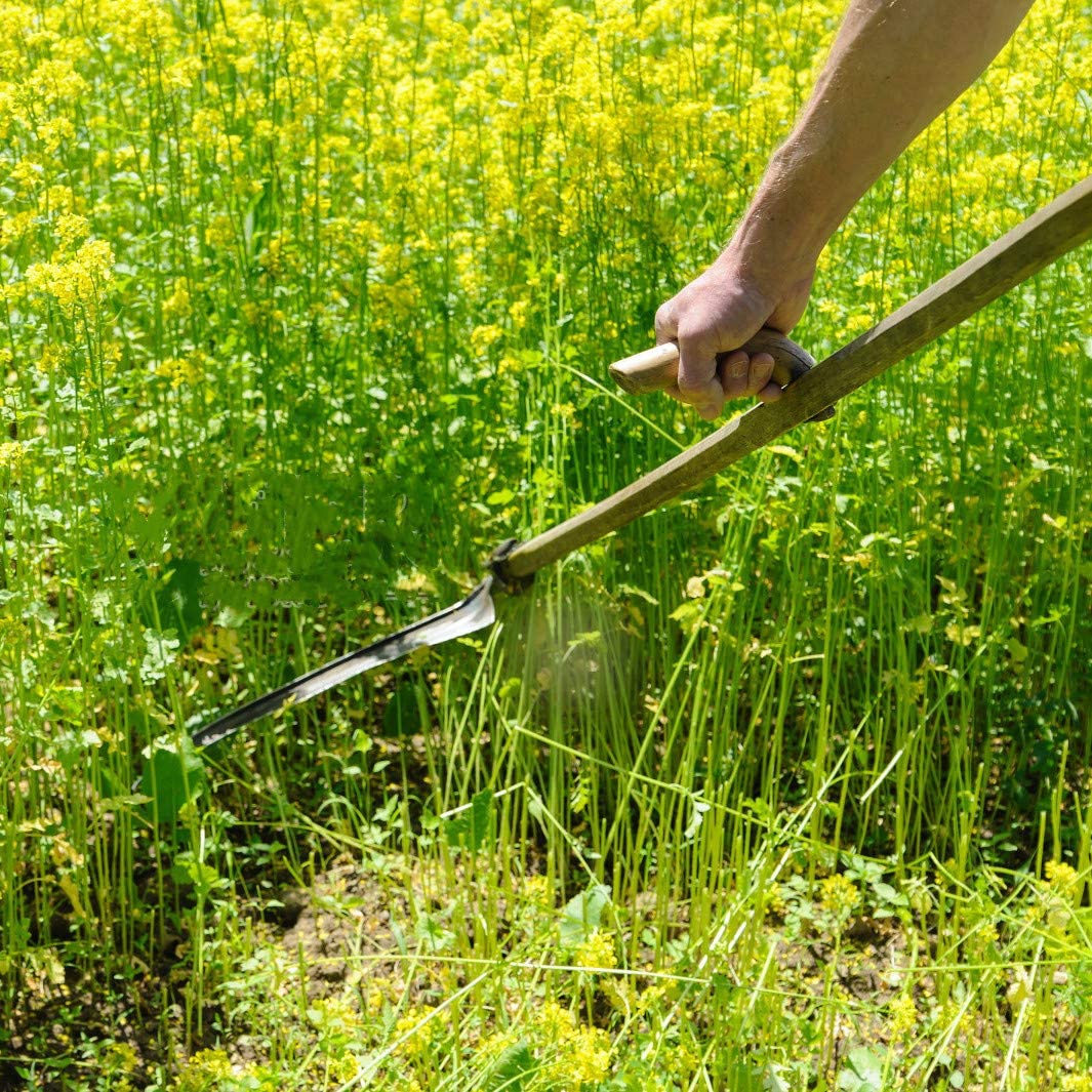 The Best Manual Weed Wackers & Manual Weeders of 2024